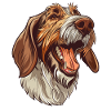 Spinone Italiano | Cartoon Artwork