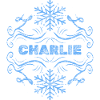 Winter Charlie