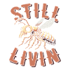 Entomology Entomologist Insect