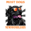 Newfie MOST DOGS HAVE OWNERS