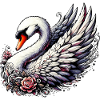 Swan