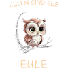 Nachteule Eule Eulen Vogel