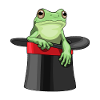 Frog Wizard Top Hat