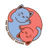 Find Your Purrfect Balance