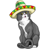 Chapeau mexicain chat