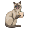 Siamkatze Sandwich