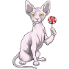 Sucette Chat Sphynx