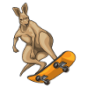 Kangaroo Skater Skateboard Sport
