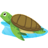 Save our Seas Turtle