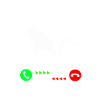 La plongée m'appelle