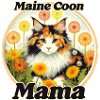 Mainecoon Mama Calico Cat