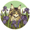 Brown Tabby Cat Iris
