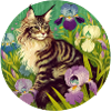 Brown Tabby Cat Iris