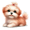 Cute dog