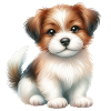 Cute dog
