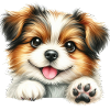 Cute dog