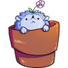 Blühender Igel