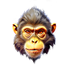 Monkey V24 05