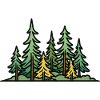 Forest, Landscape, Trees, Nature