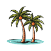 Palm Island Holidays