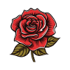 Amour de la rose