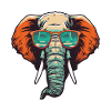 Tête d’éléphant Cool