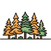 Forest, Landscape, Trees