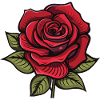Rose Flower