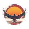 Sublime eagle in sunset