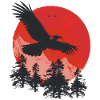 Wild eagle in red sunset