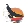 Majestic eagle in sunset