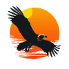 Majestic eagle in sunset