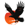 Powerful eagle in sunset