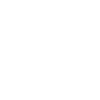 Love Heart Icon