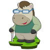 Horse Glasses