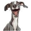 Whippet | Cartoon Artwork