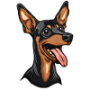 Pinscher nain | Pinscher nain | Caricature