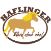 Haflinger, klein aber oho