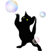 Cat discovering bubbles