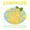 Lemonade Effervescent Lemon Lemonade Gift