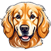 Cute Golden Retriever Dog