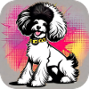 Caniche punk mignon