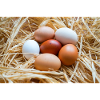 Eier im Stroh