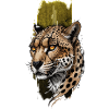 Majesté gracieuse : guépard majestueux