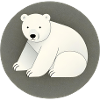 Cute polar bear