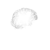 Le médecin dit que c’est incurable - Jack Russell