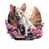 Sphynx Kitten Sphynx Cat
