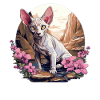 Sphynx Kitten Sphynx Cat