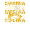 Danse martiale de capoeira