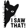 I Saw That Black Cat
